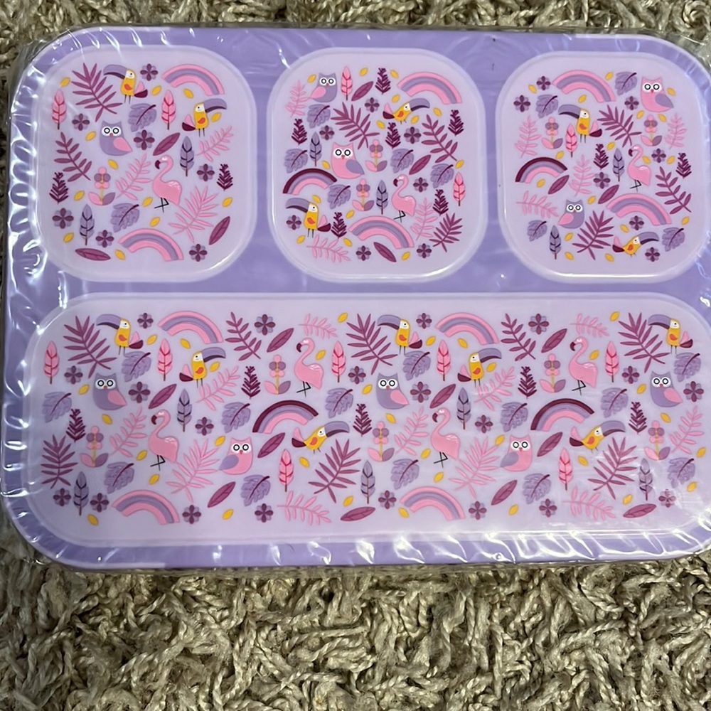 Bento lunch box